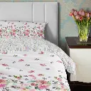 SINGLE-Azalea-Flower-Lifestyle-1.webp