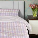 SINGLE-Pastel-Lines-Lifestyle-1.webp
