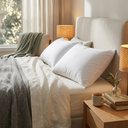 Pillow | Rankoussi Classic Goose Down