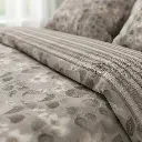Focus-Veranda.webp