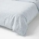 Single-Blue-Plain-Focus-Shot.webp