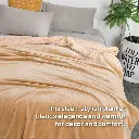 Elegant Cuddles Sherpa - Tan.webp