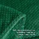 Snoozies Throw Blanket - Green.webp