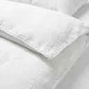Double-White-Plain-Focus-Shot.webp